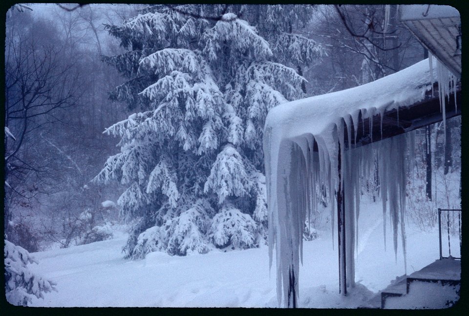 Tanglewood in snow 1977